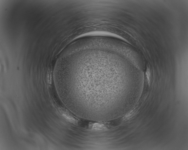 X0000084030180200702232308