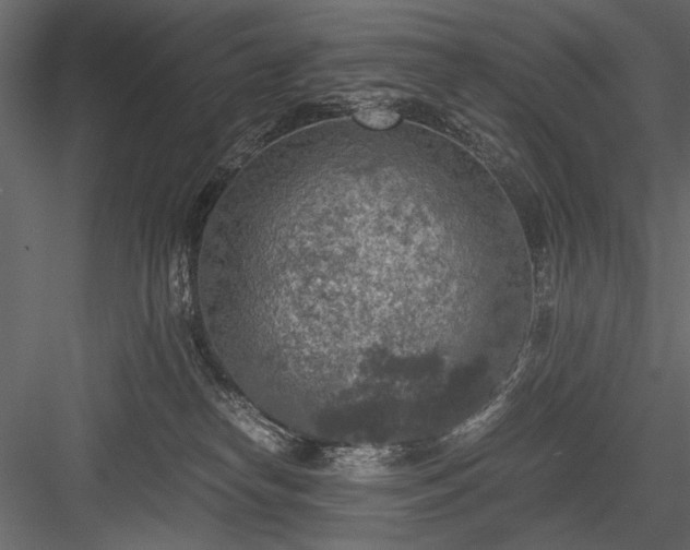 X0000084030182200702232308