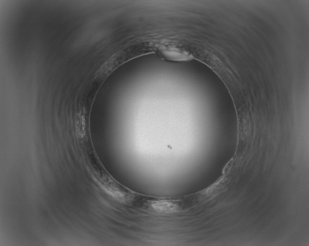 X0000084030183200702232308