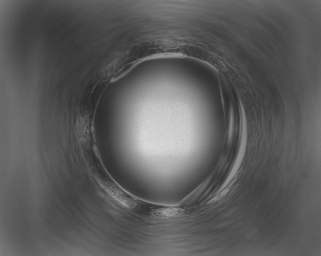 X0000084030184200702232308