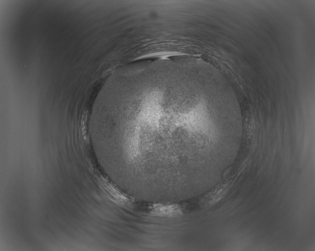 X0000084030185200702232308