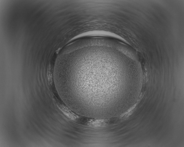 X0000084030186200702232308