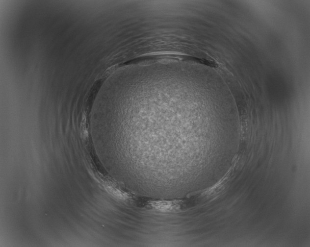 X0000084030187200702232308