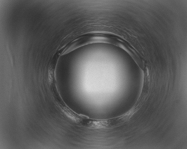 X0000084030188200702232308