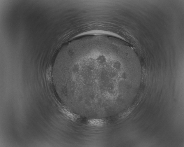 X0000084030189200702232308