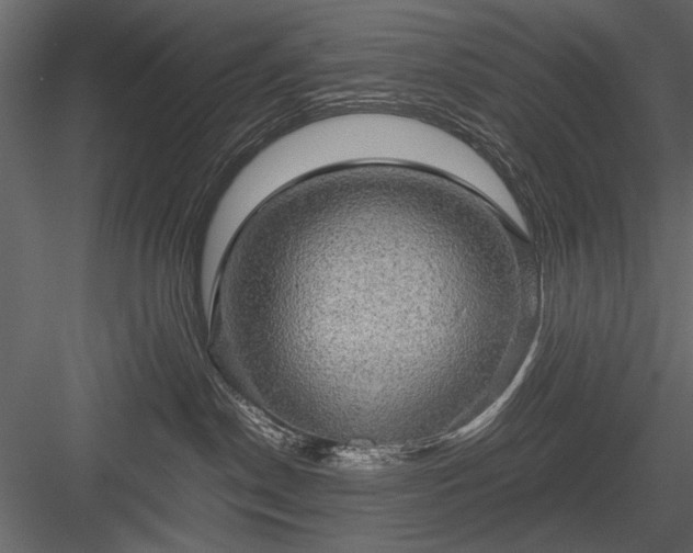 X0000084030190200702232308