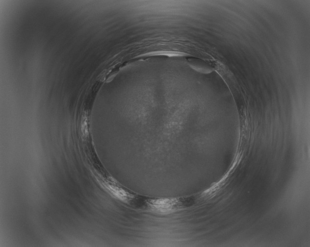 X0000084030191200702232308