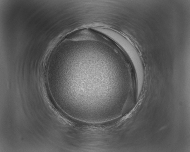 X0000084030193200702232307