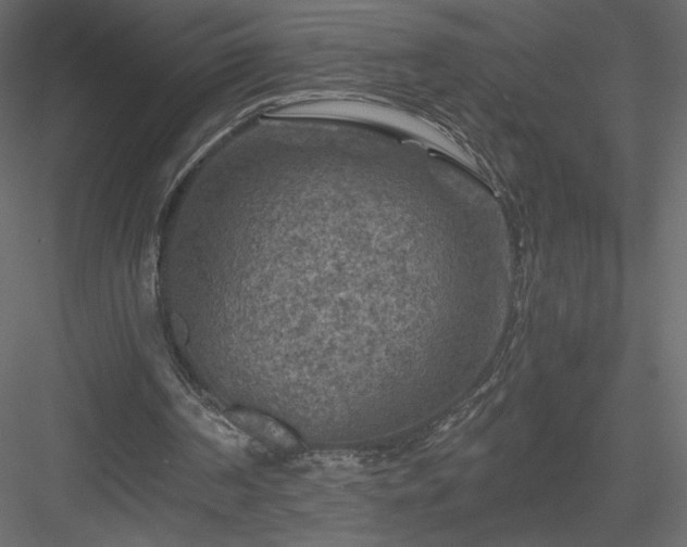 X0000084030194200702232307