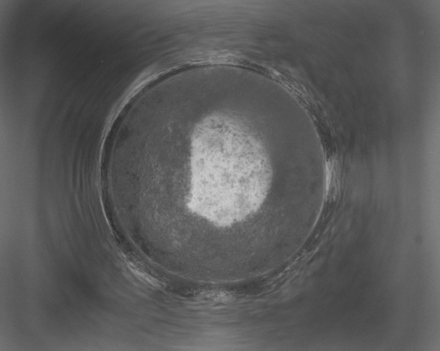 X0000084030195200702232307