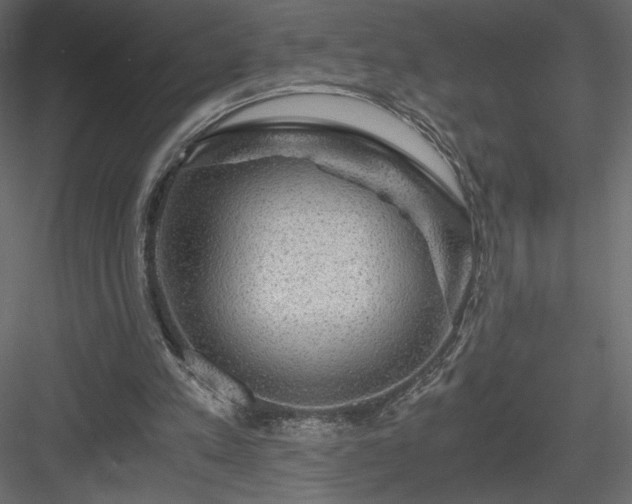 X0000084030197200702232307