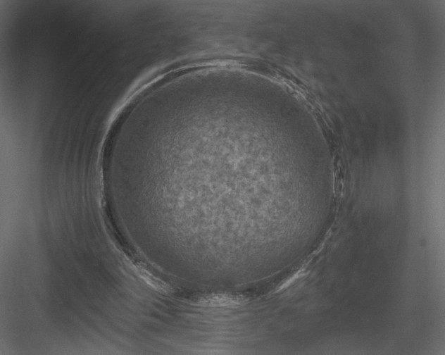 X0000084030198200702232307