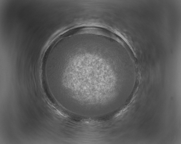 X0000084030199200702232307