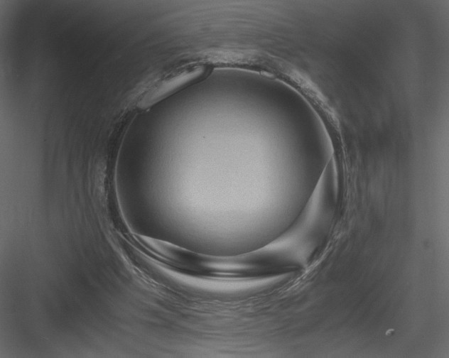 X0000084030201200702232307