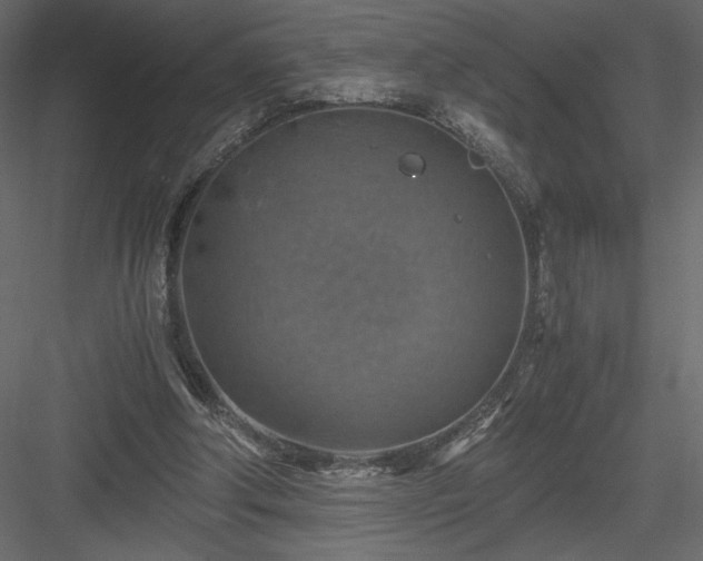 X0000084030202200702232307