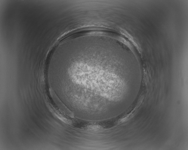 X0000084030203200702232307