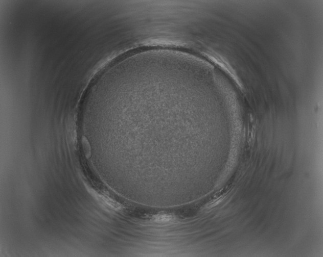 X0000084030204200702232307