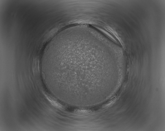 X0000084030205200702232307