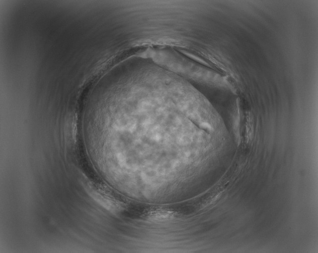 X0000084030206200702232307