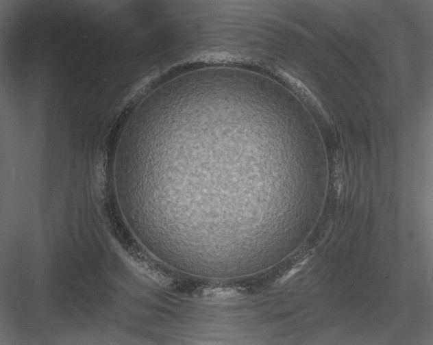 X0000084030208200702232307