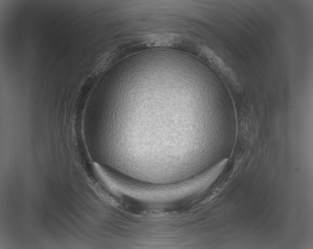 X0000084030209200702232307