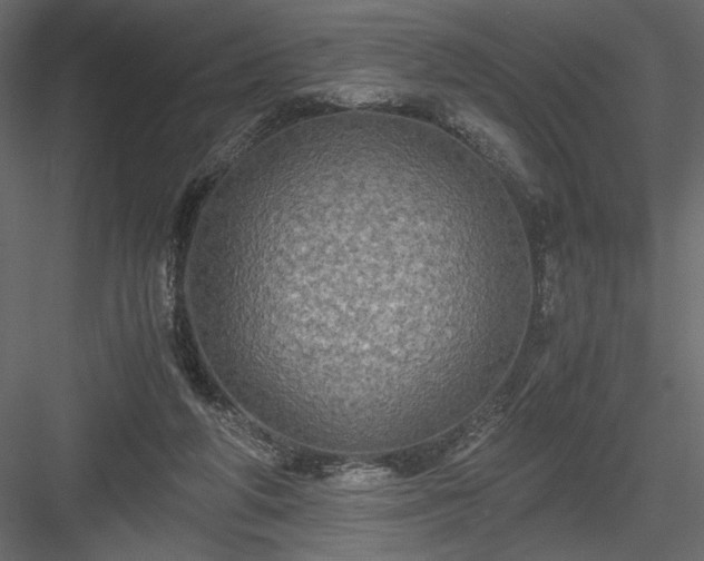 X0000084030210200702232307