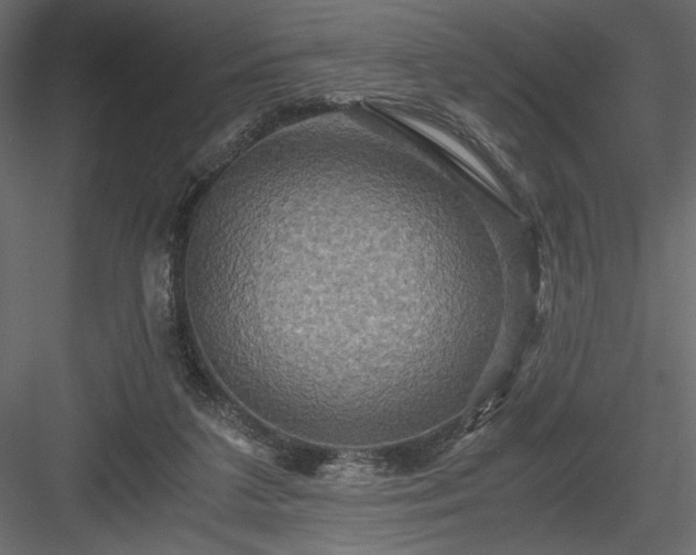 X0000084030211200702232307