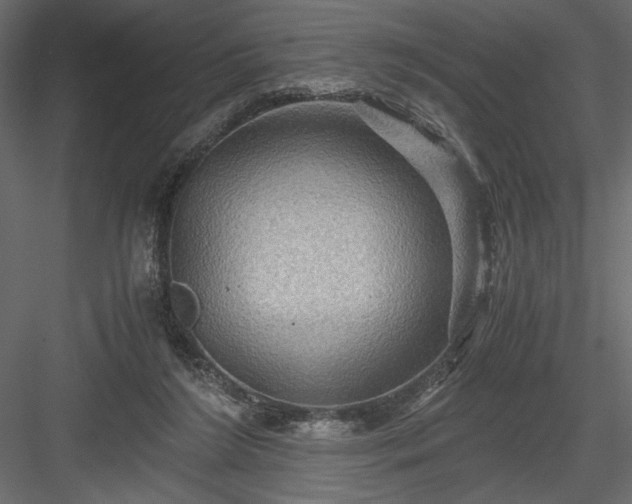 X0000084030212200702232307