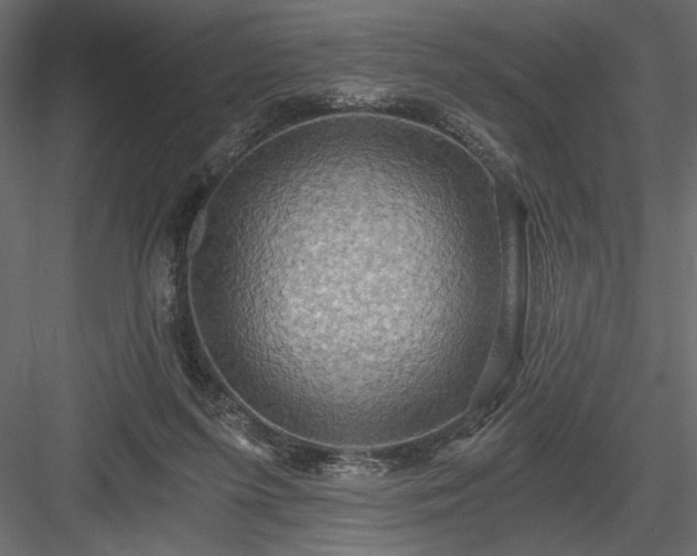 X0000084030215200702232307