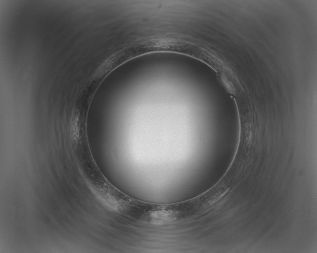 X0000084030216200702232307