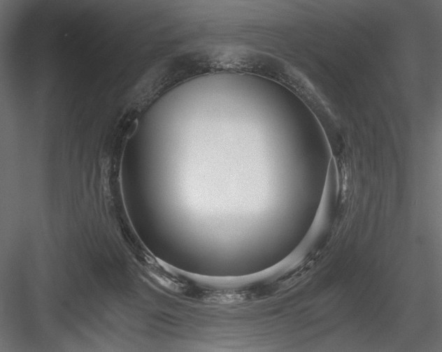 X0000084030217200702232307