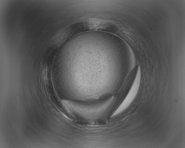 X0000084030219200702232307