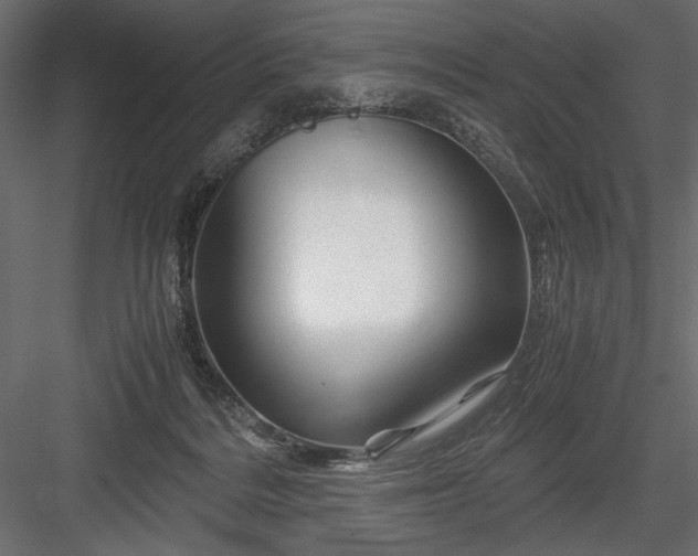 X0000084030220200702232307