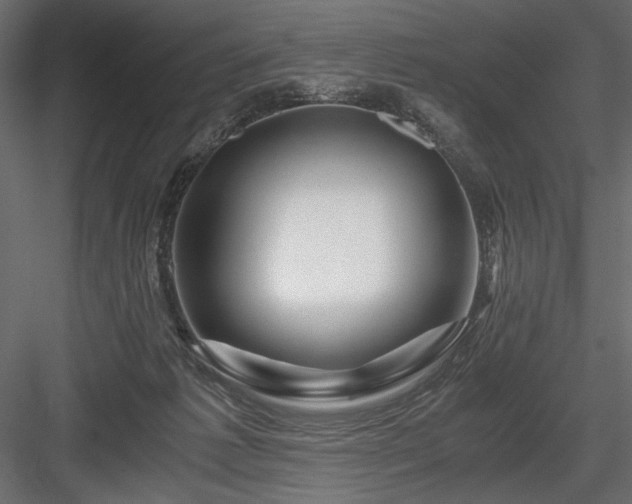 X0000084030221200702232307