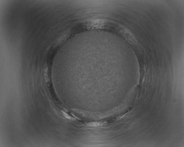 X0000084030224200702232307