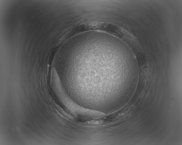 X0000084030225200702232307