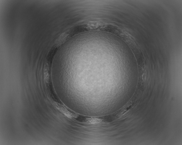 X0000084030226200702232307