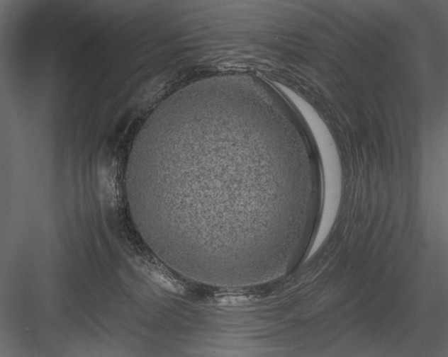 X0000084030228200702232307