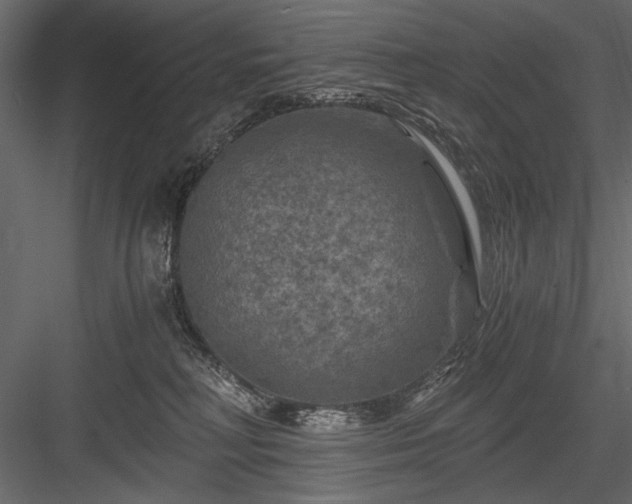 X0000084030230200702232306