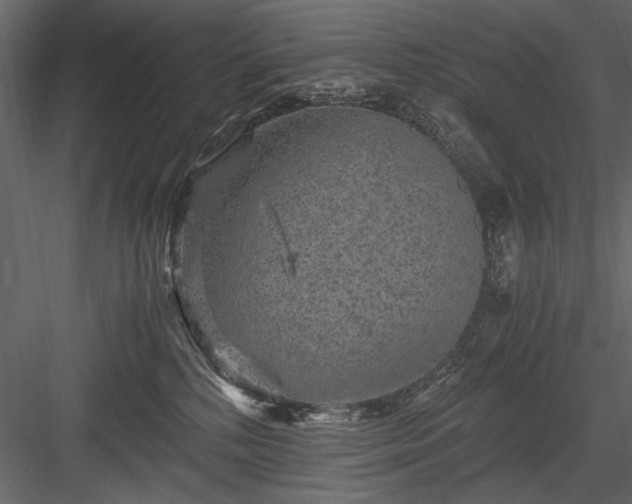 X0000084030232200702232306