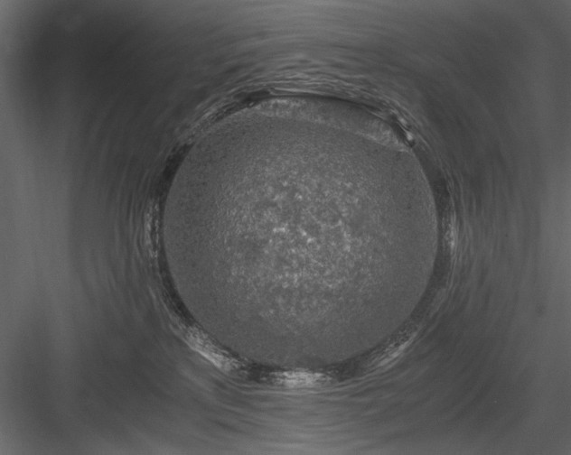 X0000084030233200702232306