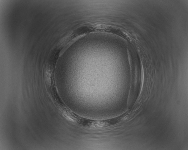 X0000084030235200702232306