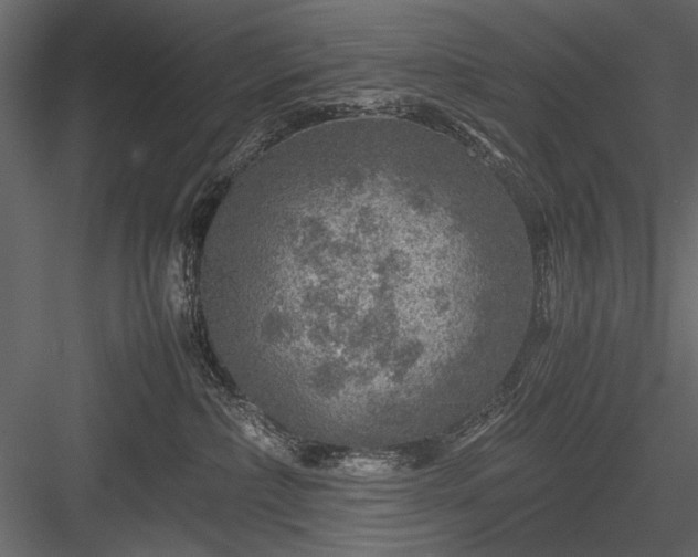 X0000084030236200702232306