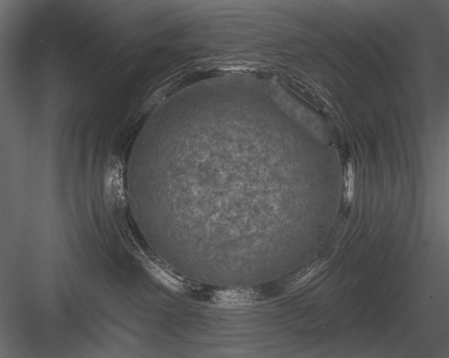 X0000084030238200702232306