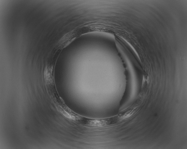 X0000084030239200702232306