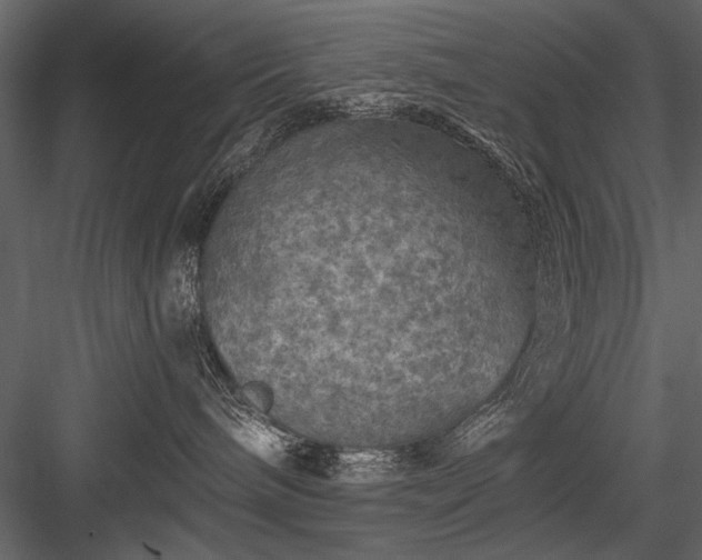 X0000084030240200702232306