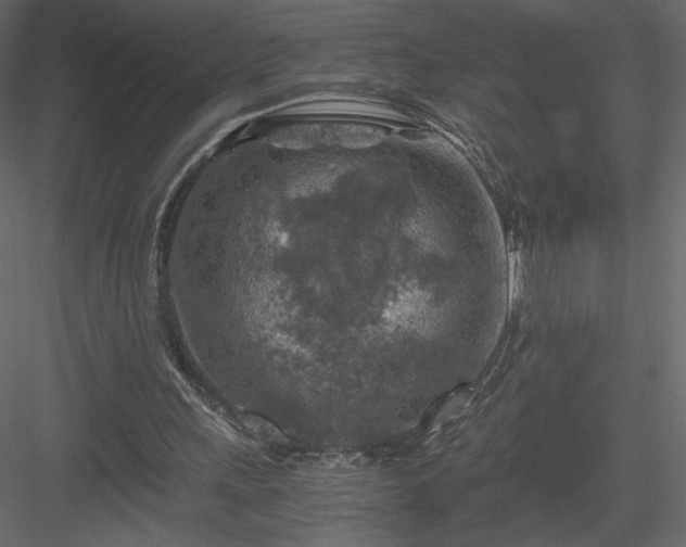 X0000084030243200702232306