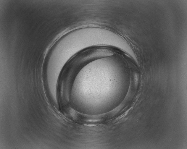 X0000084030244200702232306