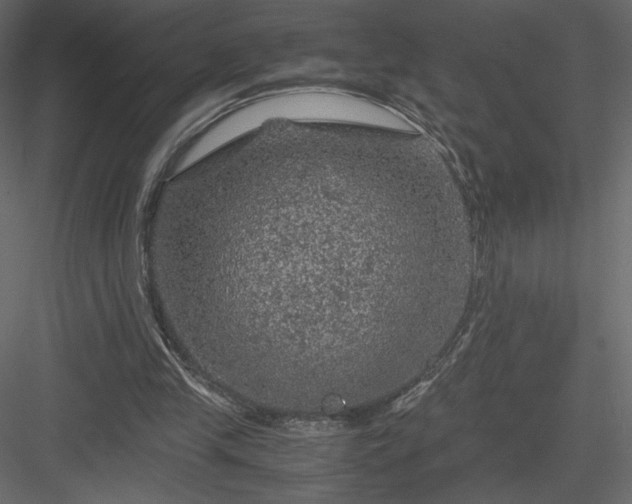 X0000084030245200702232306