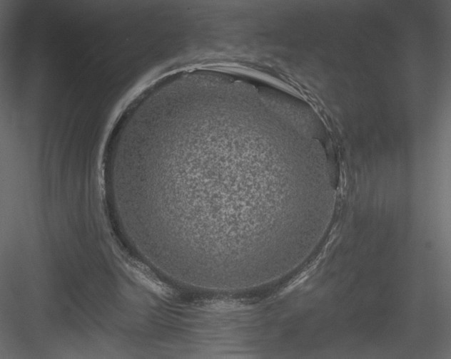 X0000084030246200702232306